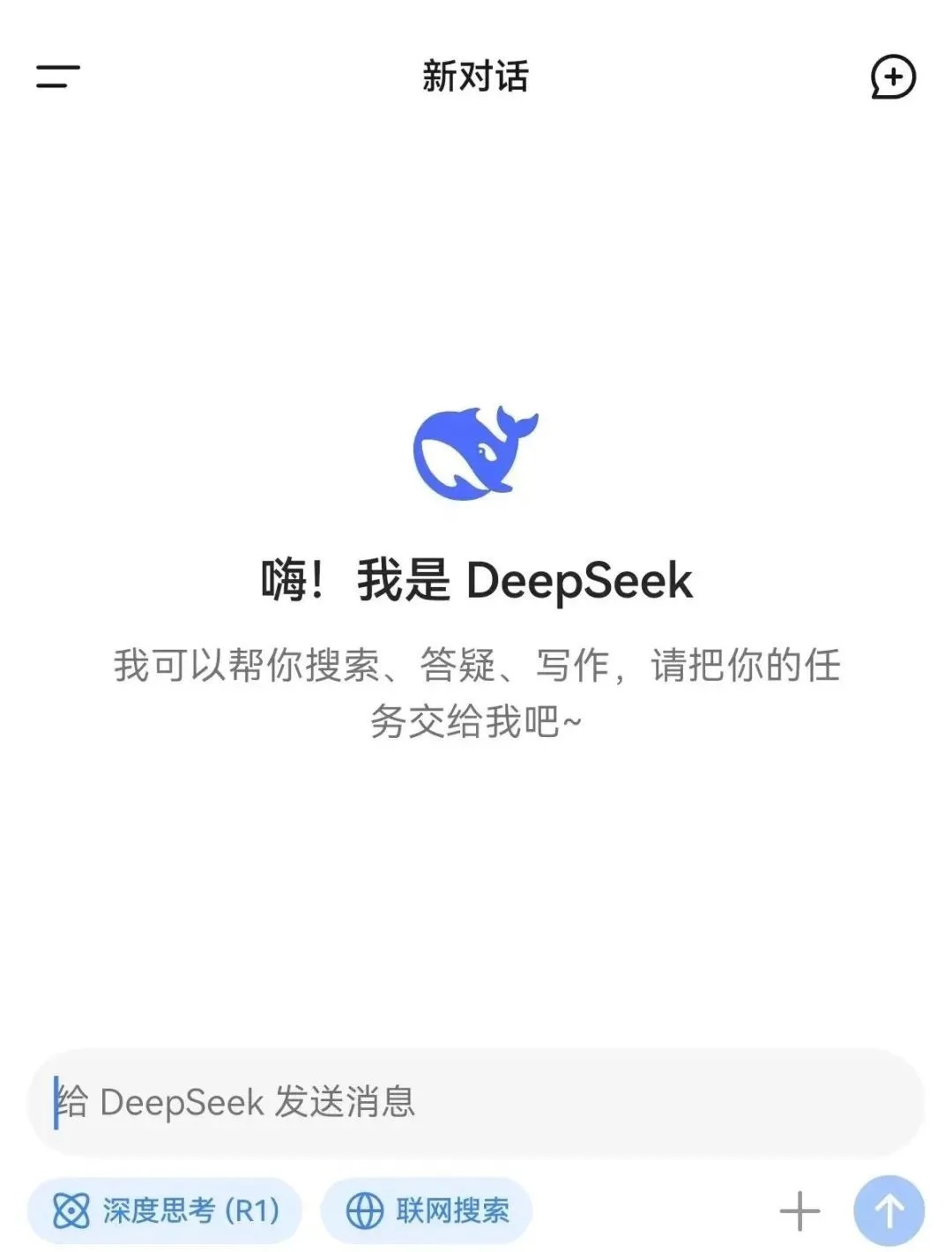 DeepSeek页面